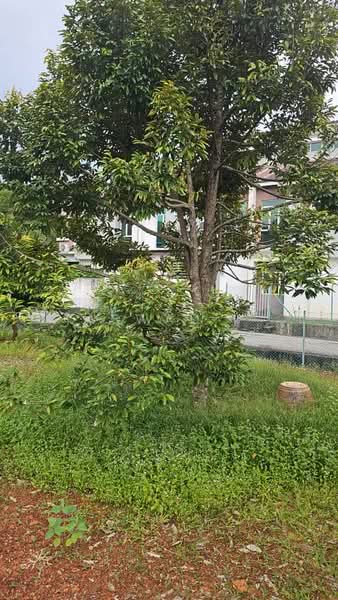 Rumah Teres 2 Tingkat untuk Dijual di Sungai Petani (Kedah) - Aswad . - Exterior - PropertyGuru.com.my