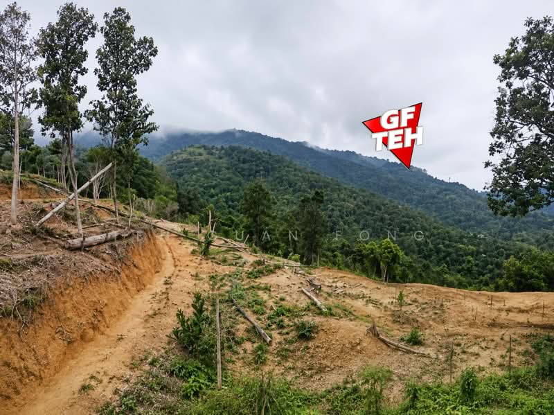 Agricultural Land for Sale in Teluk Bahang (Penang) - Teh Guan Fong - Exterior - PropertyGuru.com.my