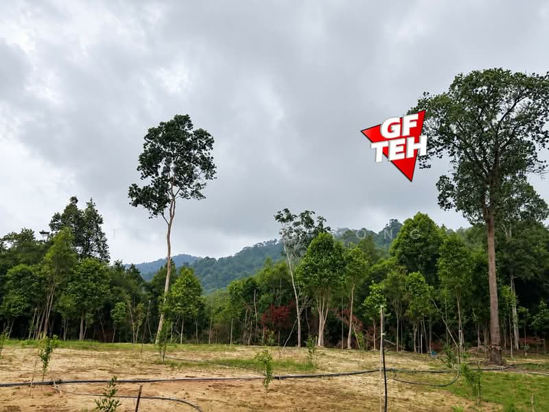 Agricultural Land for Sale in Teluk Bahang (Penang) - Teh Guan Fong - Exterior - PropertyGuru.com.my
