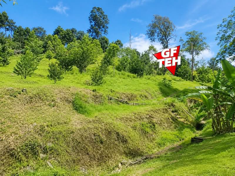 Agricultural Land for Sale in Teluk Bahang (Penang) - Teh Guan Fong - Exterior - PropertyGuru.com.my