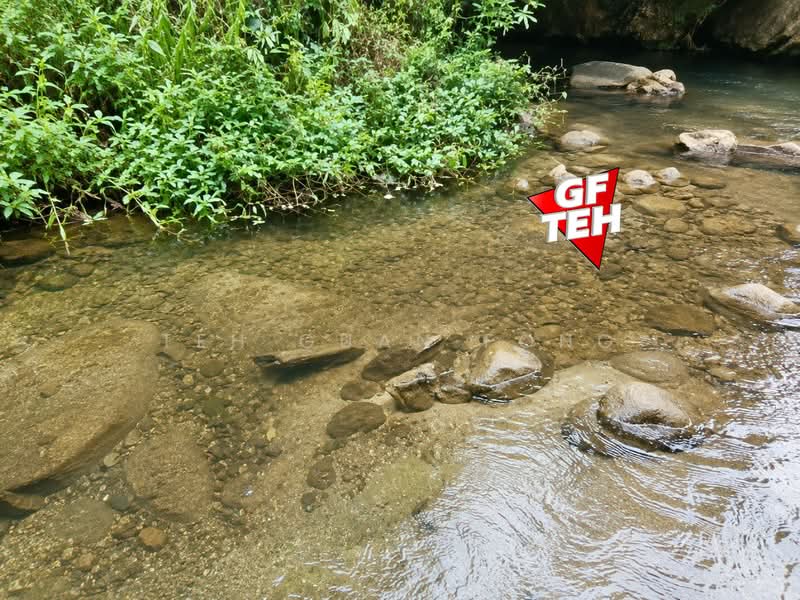 Agricultural Land for Sale in Teluk Bahang (Penang) - Teh Guan Fong - PropertyGuru.com.my