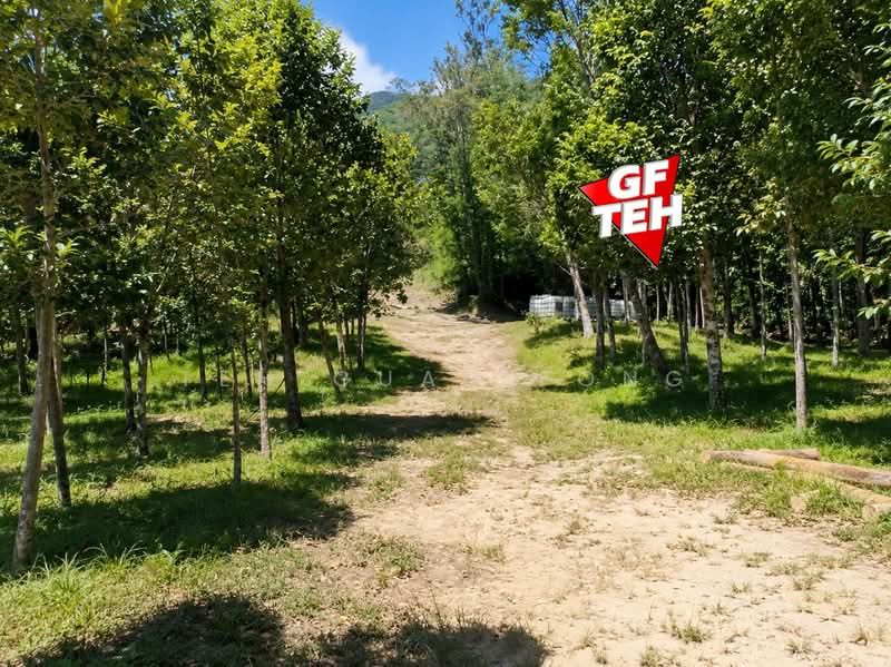 Agricultural Land for Sale in Teluk Bahang (Penang) - Teh Guan Fong - Exterior - PropertyGuru.com.my