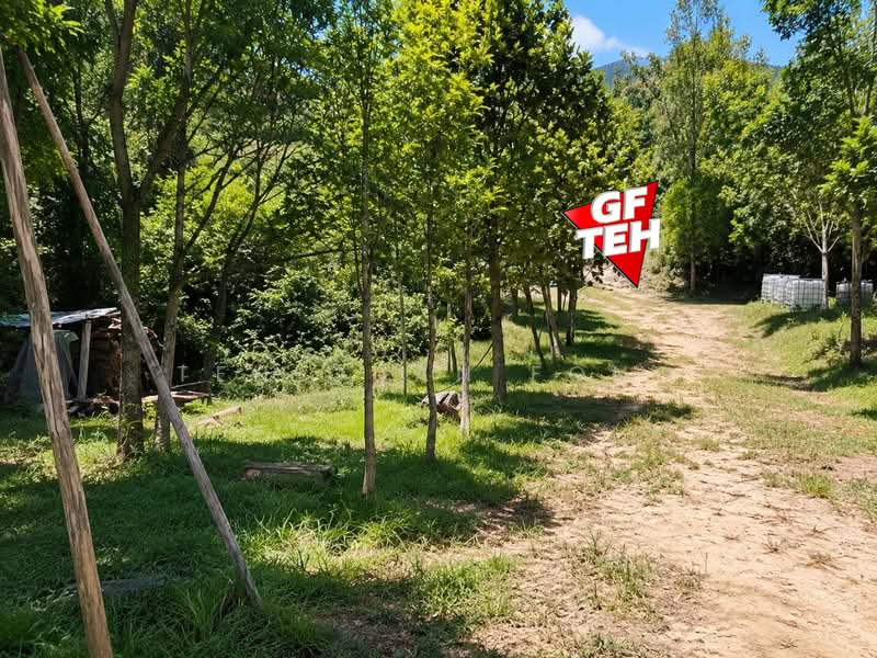 Agricultural Land for Sale in Teluk Bahang (Penang) - Teh Guan Fong - Exterior - PropertyGuru.com.my