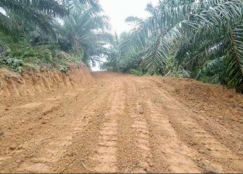 Agricultural Land for Sale in Sandakan (Sabah) - Peggy Lim - Exterior - PropertyGuru.com.my