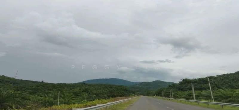 Agricultural Land for Sale in Sandakan (Sabah) - Peggy Lim - Exterior - PropertyGuru.com.my