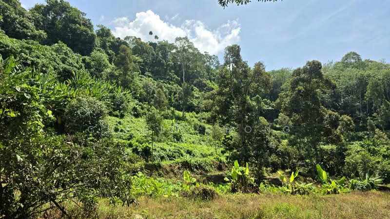 Agricultural Land for Sale in Kuala Kangsar (Perak) - Cherie Chong - PropertyGuru.com.my