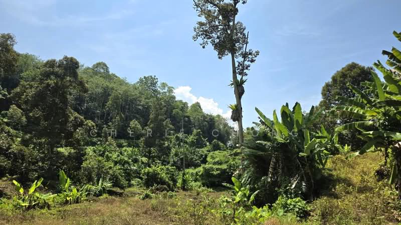 Agricultural Land for Sale in Kuala Kangsar (Perak) - Cherie Chong - PropertyGuru.com.my