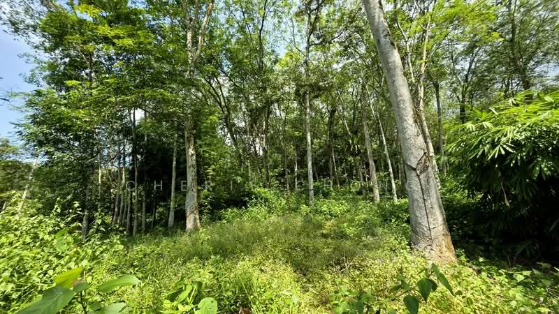 Agricultural Land for Sale in Kuala Kangsar (Perak) - Cherie Chong - PropertyGuru.com.my