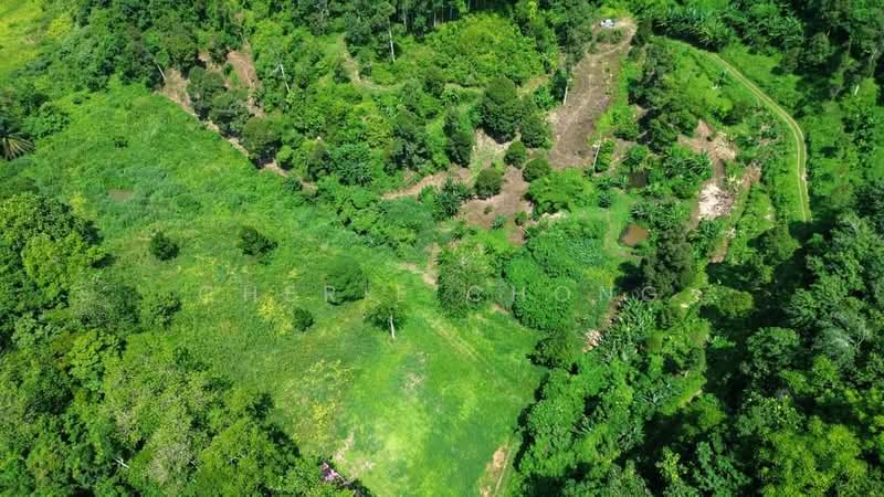 Agricultural Land for Sale in Kuala Kangsar (Perak) - Cherie Chong - PropertyGuru.com.my