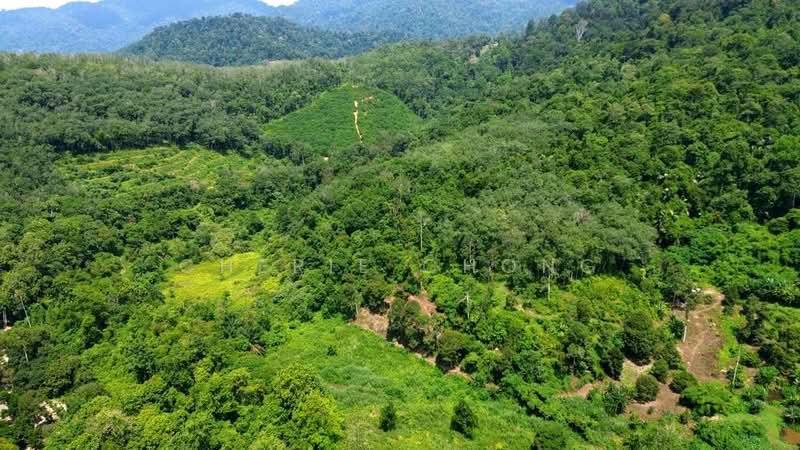 Agricultural Land for Sale in Kuala Kangsar (Perak) - Cherie Chong - PropertyGuru.com.my