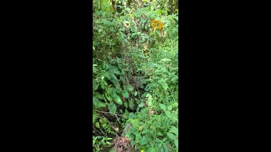 Agricultural Land for Sale in Kuala Kangsar (Perak) - Gary Tang - PropertyGuru.com.my
