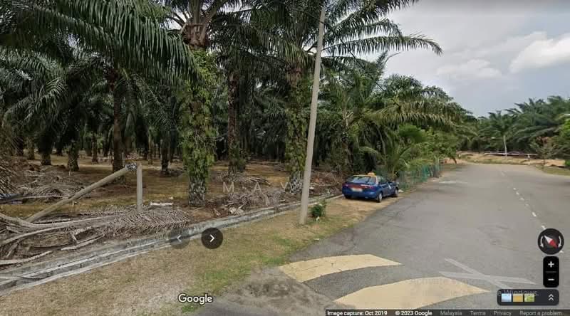 Tanah Pertanian untuk Dijual di Rim (Melaka) - May . - Exterior - PropertyGuru.com.my