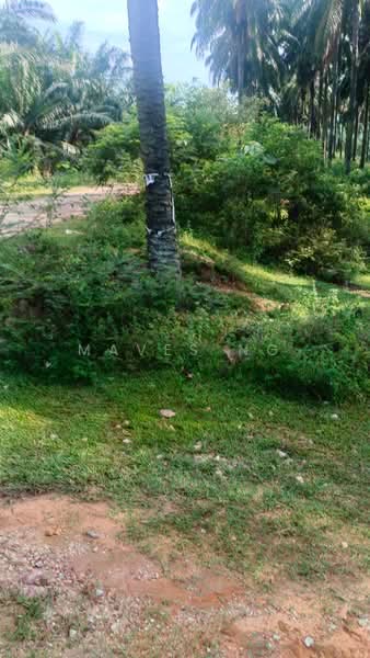 Commercial Land for Rent in Alam Damai (Cheras) - Maves Ng - Exterior - PropertyGuru.com.my