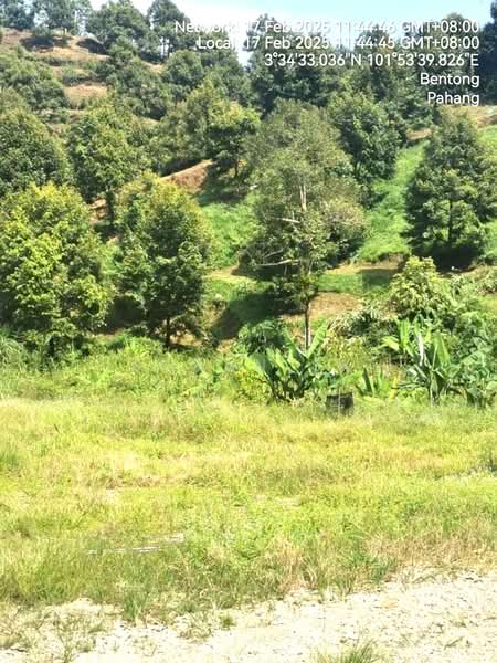 Agricultural Land for Sale in Bentong (Pahang) - Saran SK - Exterior - PropertyGuru.com.my