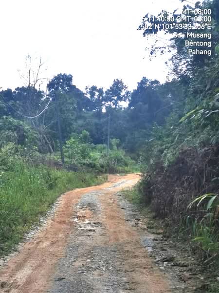 Agricultural Land for Sale in Bentong (Pahang) - Saran SK - Exterior - PropertyGuru.com.my