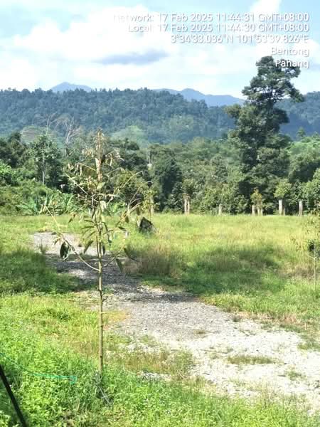 Agricultural Land for Sale in Bentong (Pahang) - Saran SK - Exterior - PropertyGuru.com.my