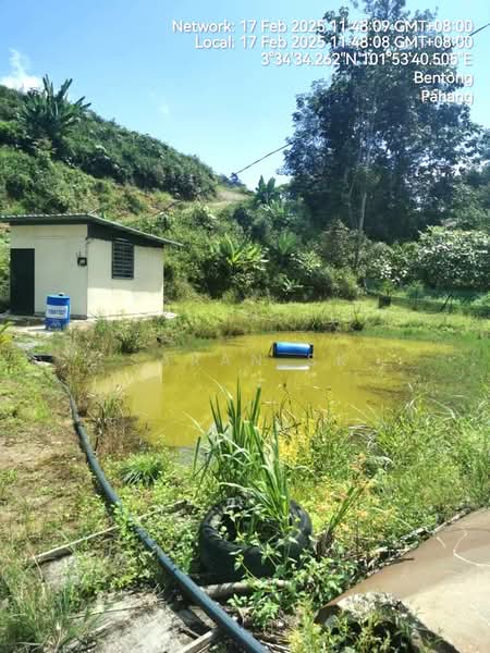 Agricultural Land for Sale in Bentong (Pahang) - Saran SK - Exterior - PropertyGuru.com.my