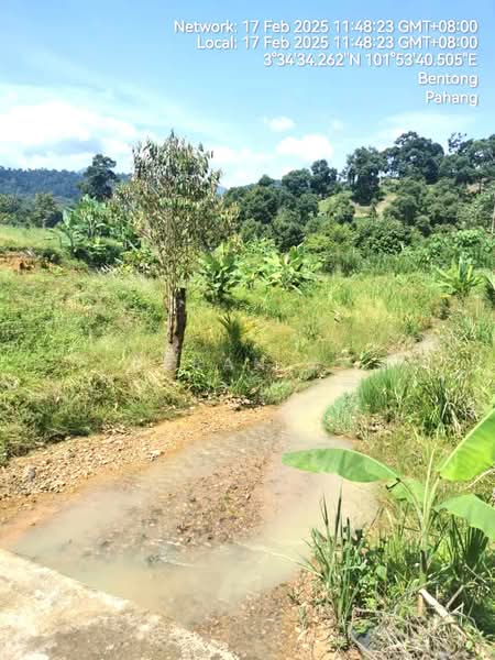 Agricultural Land for Sale in Bentong (Pahang) - Saran SK - Exterior - PropertyGuru.com.my