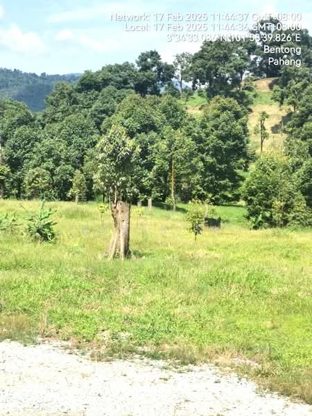 Agricultural Land for Sale in Bentong (Pahang) - Saran SK - Exterior - PropertyGuru.com.my