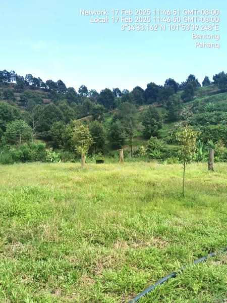 Agricultural Land for Sale in Bentong (Pahang) - Saran SK - Exterior - PropertyGuru.com.my