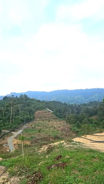 Agricultural Land for Sale in Bentong (Pahang) - Saran SK - Exterior - PropertyGuru.com.my