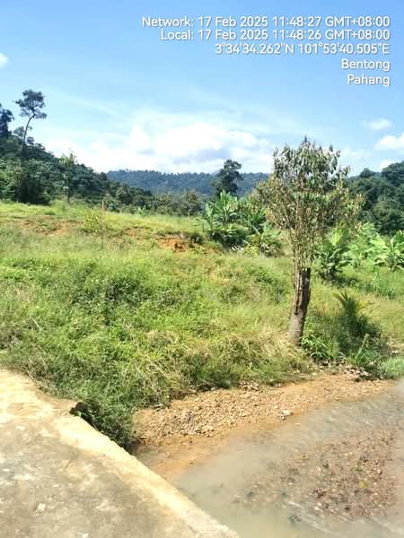 Agricultural Land for Sale in Bentong (Pahang) - Saran SK - Exterior - PropertyGuru.com.my