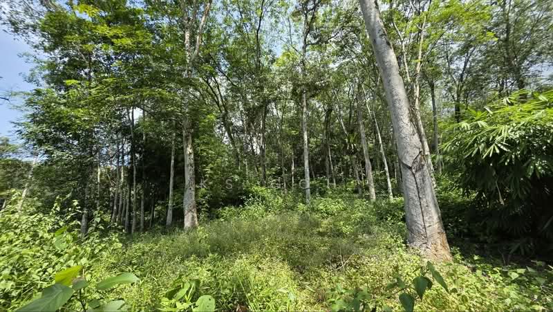 Agricultural Land for Sale in Kuala Kangsar (Perak) - KS Goh - PropertyGuru.com.my