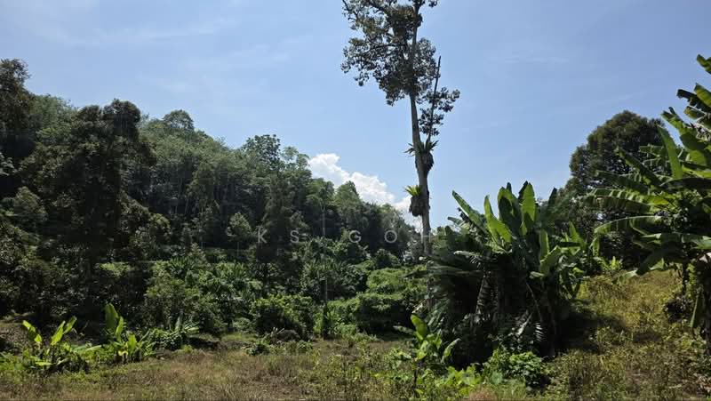 Agricultural Land for Sale in Kuala Kangsar (Perak) - KS Goh - PropertyGuru.com.my