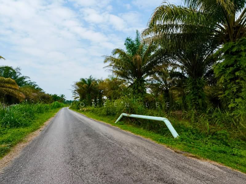 Agricultural Land for Sale in Pekan Nanas (Johor) - Joreen Lee - PropertyGuru.com.my