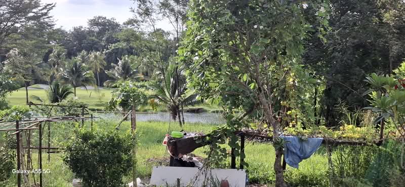 Residential Land for Sale in Petaling Jaya (Selangor) - Annie Wang - PropertyGuru.com.my