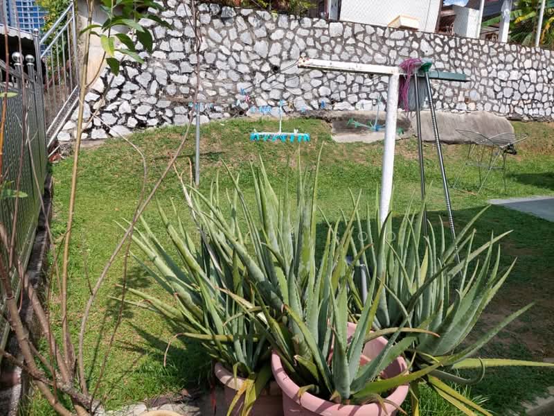 Rumah Banglo untuk Dijual di Petaling Jaya (Selangor) - Natalie Soo - Garden - PropertyGuru.com.my