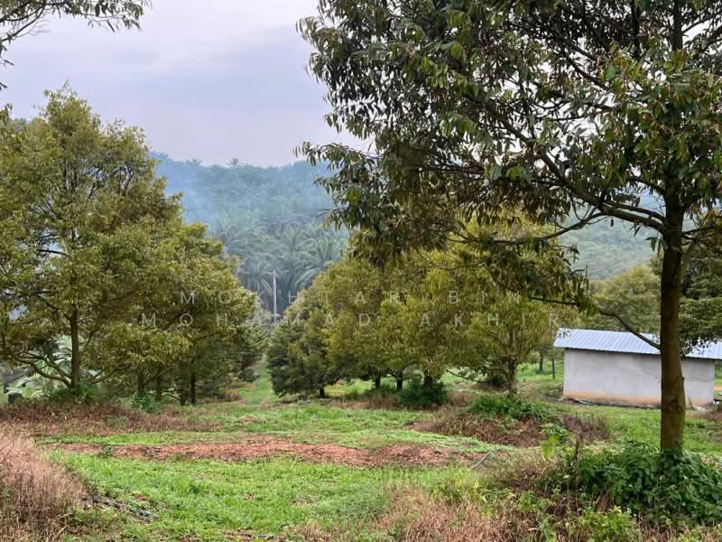 Agricultural Land for Sale in Rembau (Rembau) - Mokhtar Bin Mohamad Akhir - Exterior - PropertyGuru.com.my