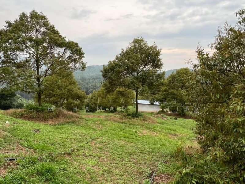 Agricultural Land for Sale in Rembau (Rembau) - Mokhtar Bin Mohamad Akhir - Exterior - PropertyGuru.com.my
