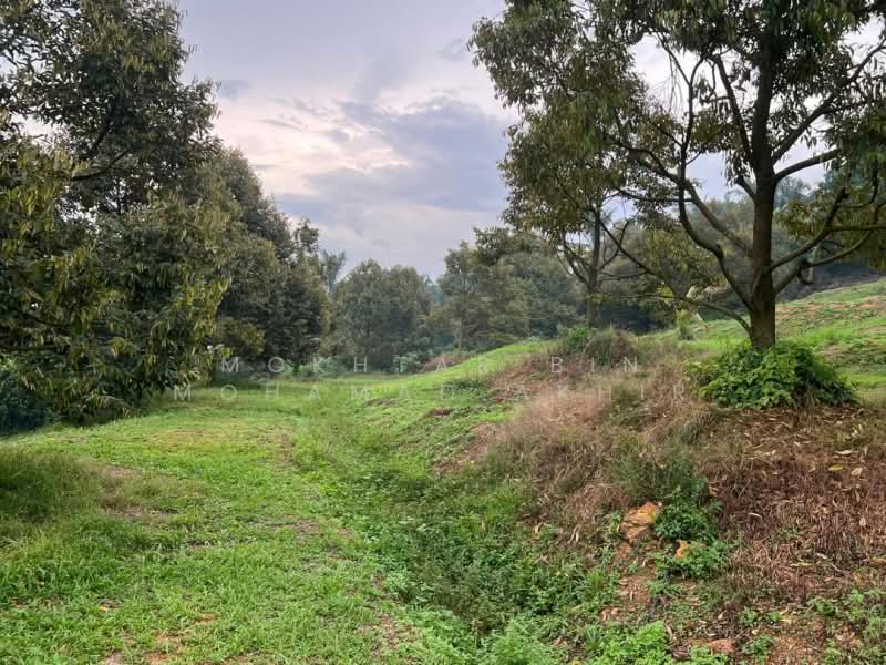 Agricultural Land for Sale in Rembau (Rembau) - Mokhtar Bin Mohamad Akhir - Exterior - PropertyGuru.com.my