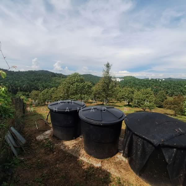 Agricultural Land for Sale in Rembau (Rembau) - Mokhtar Bin Mohamad Akhir - Exterior - PropertyGuru.com.my