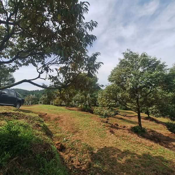 Agricultural Land for Sale in Rembau (Rembau) - Mokhtar Bin Mohamad Akhir - Exterior - PropertyGuru.com.my