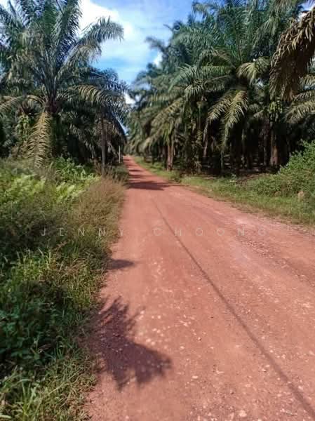 Agricultural Land for Sale in Sungai Siput (Perak) - Jenny Choong - Exterior - PropertyGuru.com.my