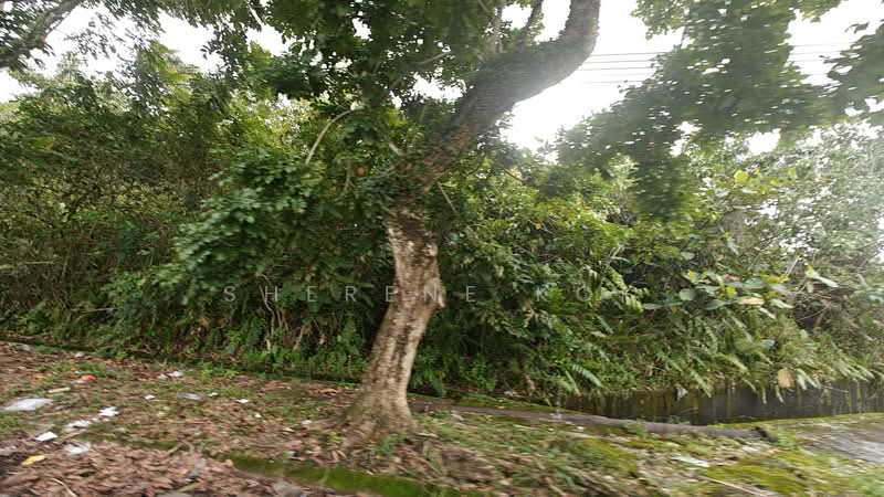 Residential Land for Sale in Kuching (Sarawak) - Sherene Kok - PropertyGuru.com.my