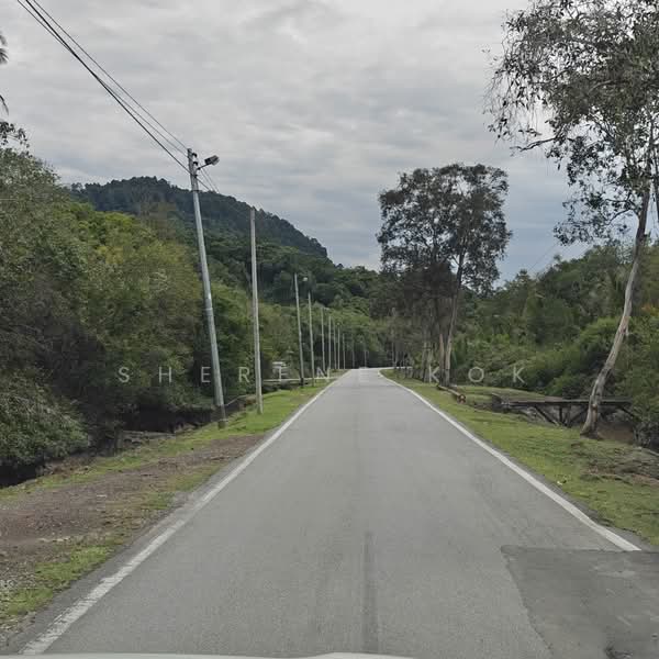 Agricultural Land for Sale in Bako (Kuching) - Sherene Kok - Exterior - PropertyGuru.com.my