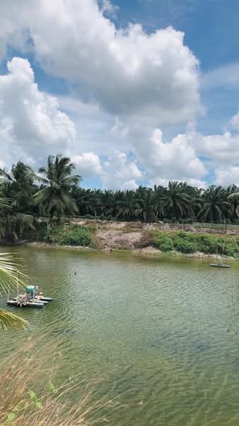 Tanah Pertanian untuk Dijual di Kota Tinggi (Johor) - Kelly Wai - Exterior - PropertyGuru.com.my