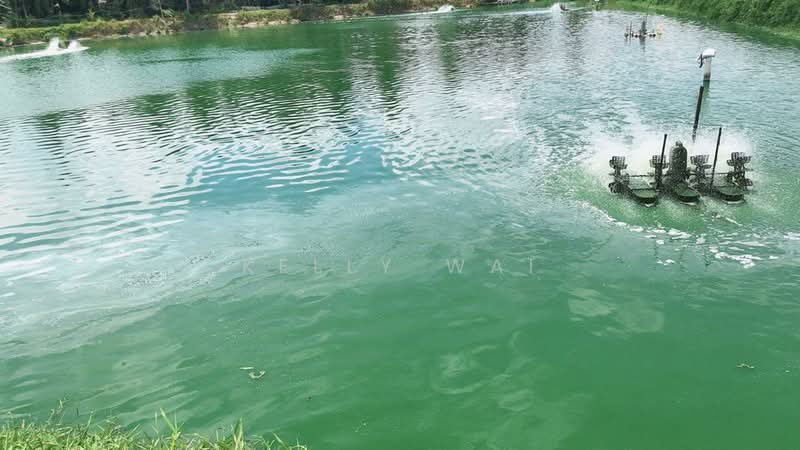 Tanah Pertanian untuk Dijual di Kota Tinggi (Johor) - Kelly Wai - PropertyGuru.com.my