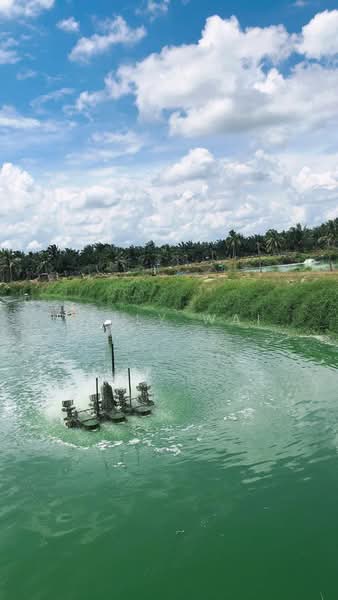 Tanah Pertanian untuk Dijual di Kota Tinggi (Johor) - Kelly Wai - Exterior - PropertyGuru.com.my