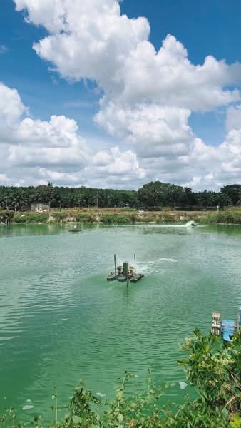 Tanah Pertanian untuk Dijual di Kota Tinggi (Johor) - Kelly Wai - Exterior - PropertyGuru.com.my