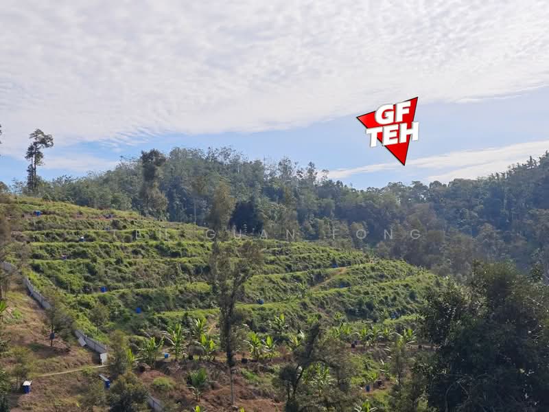 Agricultural Land for Sale in Junjong (Kedah) - Teh Guan Fong - Exterior - PropertyGuru.com.my