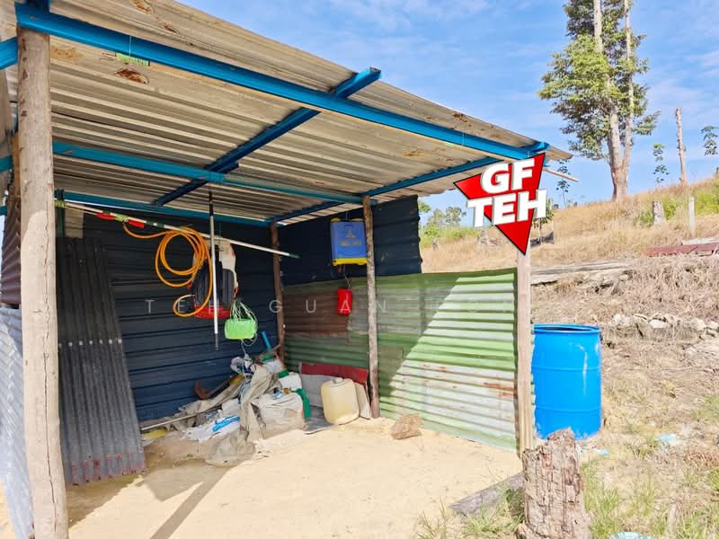 Tanah Pertanian untuk Dijual di Junjong (Kedah) - Teh Guan Fong - Exterior - PropertyGuru.com.my