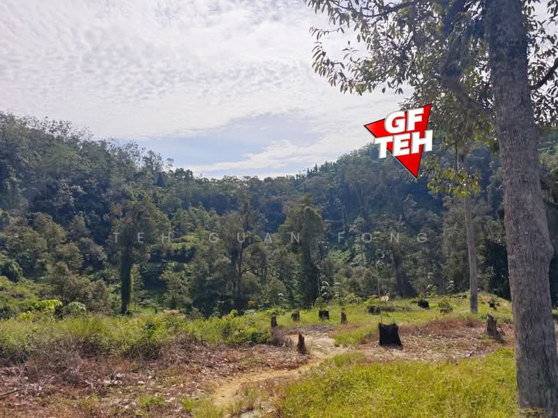 Tanah Pertanian untuk Dijual di Junjong (Kedah) - Teh Guan Fong - Exterior - PropertyGuru.com.my