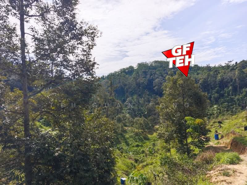 Tanah Pertanian untuk Dijual di Junjong (Kedah) - Teh Guan Fong - Exterior - PropertyGuru.com.my
