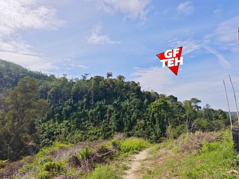 Tanah Pertanian untuk Dijual di Junjong (Kedah) - Teh Guan Fong - Exterior - PropertyGuru.com.my