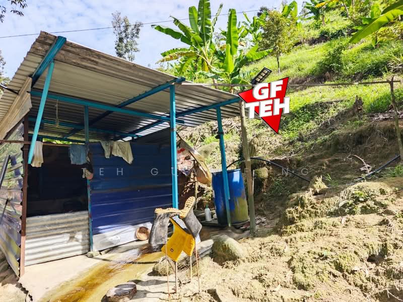 Tanah Pertanian untuk Dijual di Junjong (Kedah) - Teh Guan Fong - Exterior - PropertyGuru.com.my