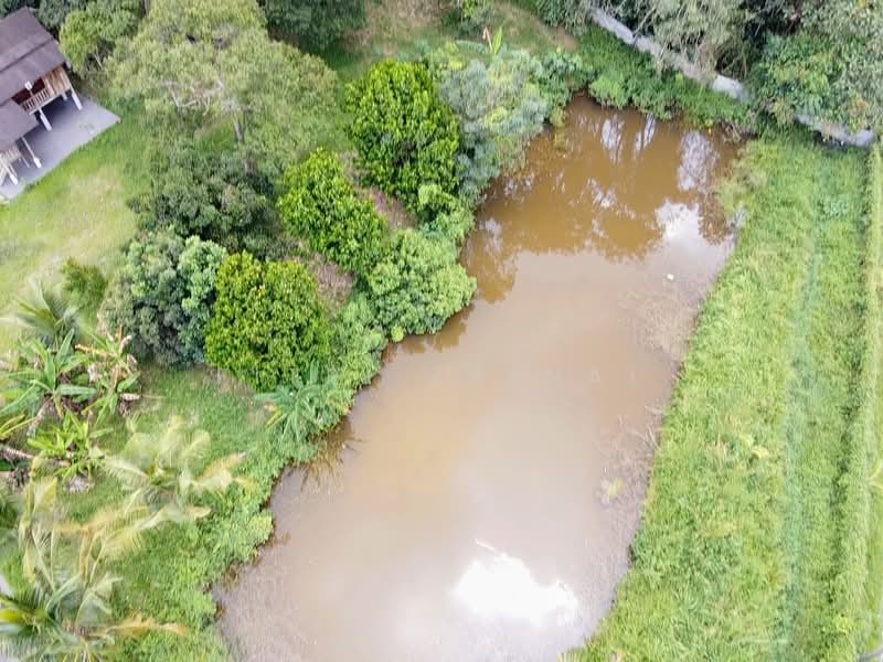 Agricultural Land for Sale in Kampung Baru Sungai Makau (Hulu Langat) - Fitri Zainal - Exterior - PropertyGuru.com.my